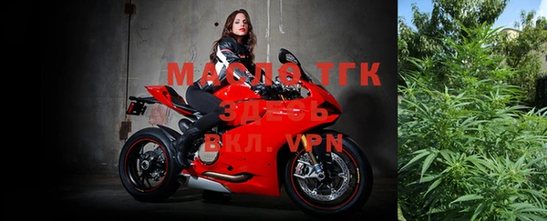 индика Протвино